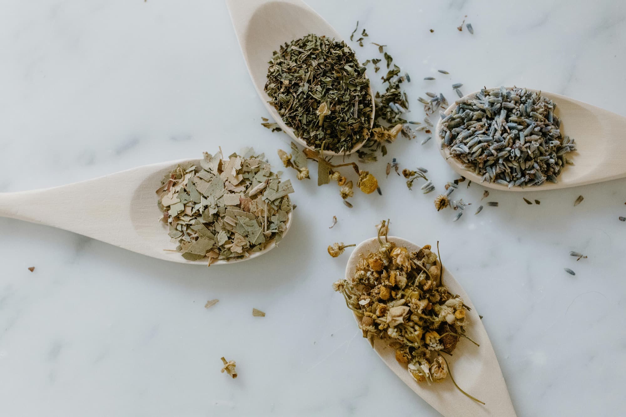 Herbes à fumer : histoire, traditions et rituels naturels